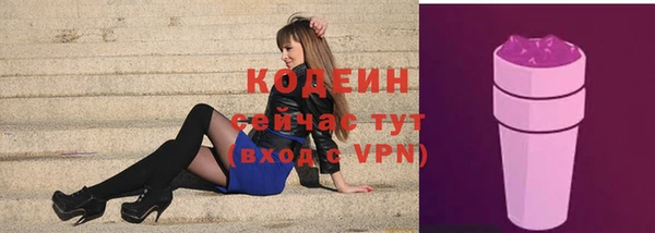 spice Дмитриев