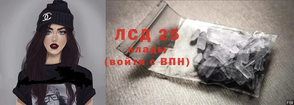 spice Дмитриев
