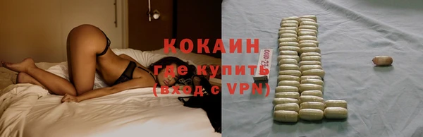 spice Дмитриев