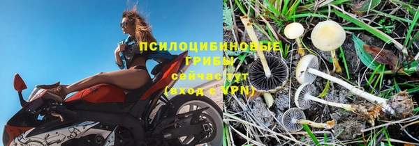 spice Дмитриев