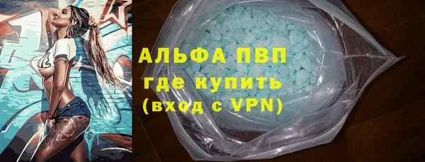 spice Дмитриев