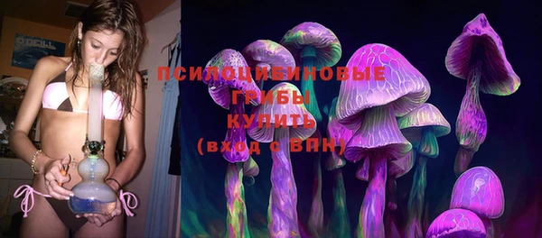 spice Дмитриев
